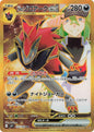 N's Zoroark ex 131/100 Battle Partners